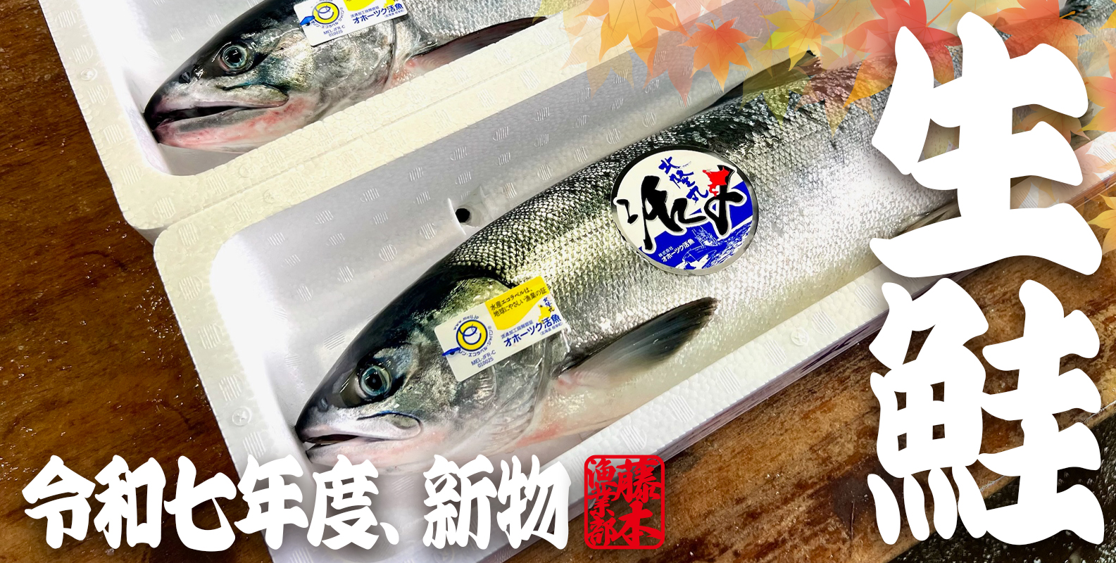 オホーツク活魚,めじか鮭,銀毛鮭,隆神,生鮭,秋鮭,鮭