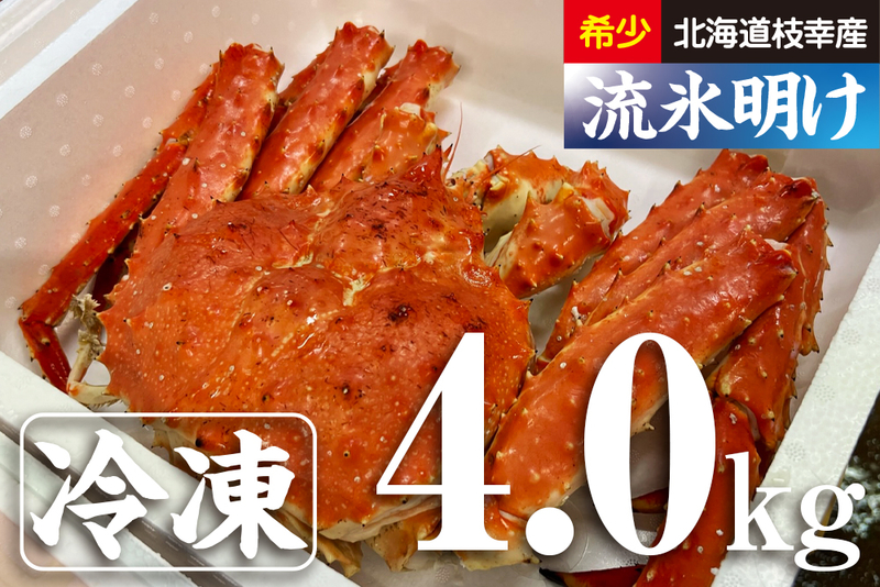 北海道枝幸産「流氷明け」浜茹でたらばがに（姿）4.0kg／冷凍