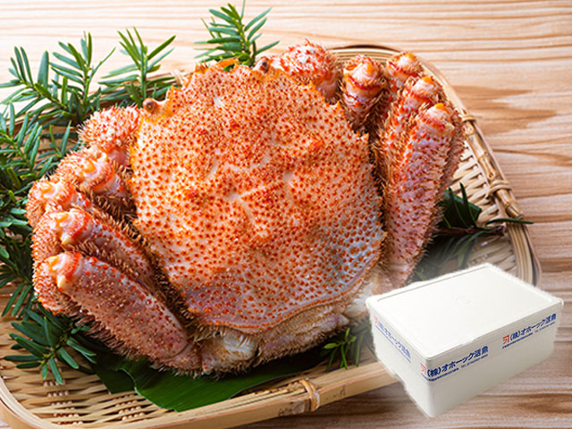 用途に合わせて選べるサイズ。自分へのご褒美から大切なギフトまで。