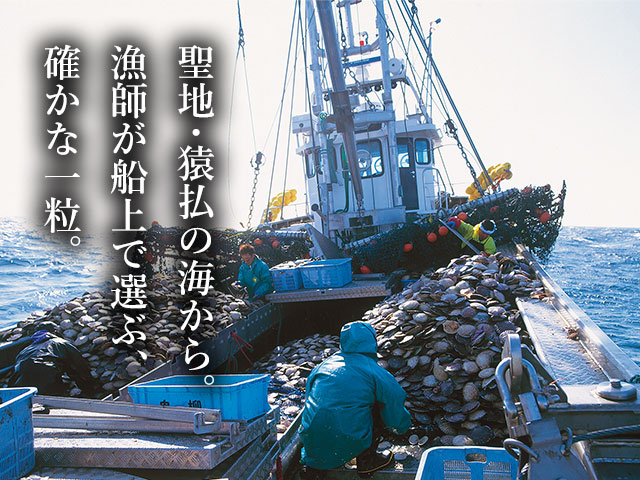50余年の誇り。北海道・猿払（さるふつ）の「育てて獲る」帆立。