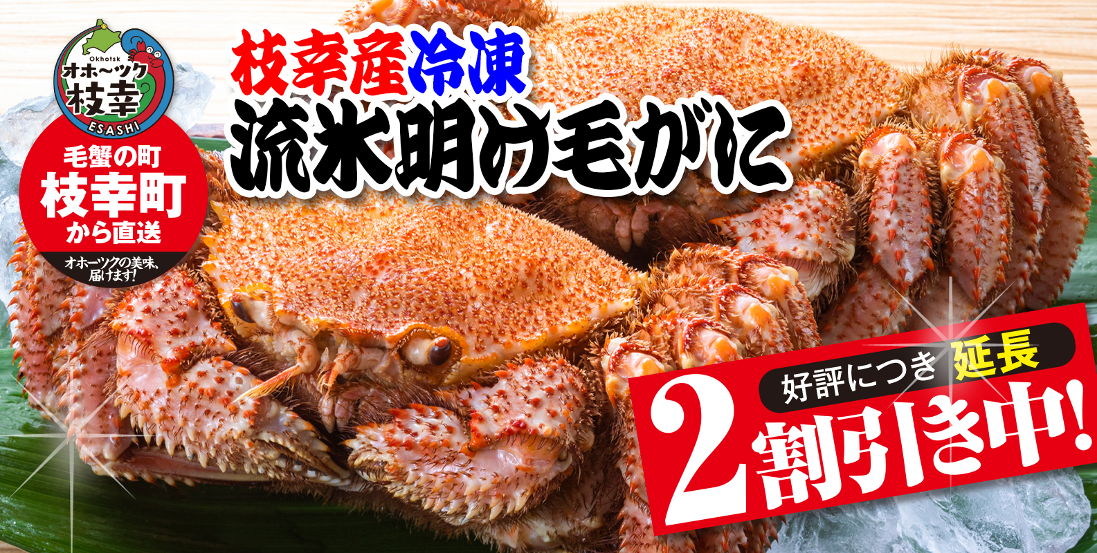 北海道枝幸産「流氷明け毛がに」。水揚げ日本一の町から、身入り・ミソ共に最高の旬の味を浜茹で直送!