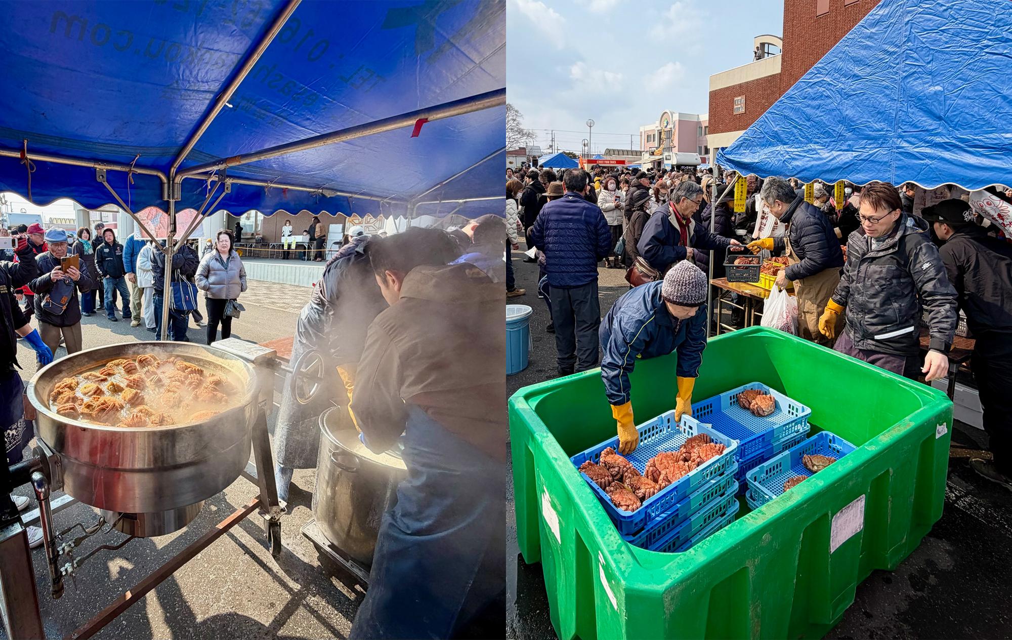 フリーページ_202603_02,かにの街えさしの会,枝幸海明け毛がにまつり