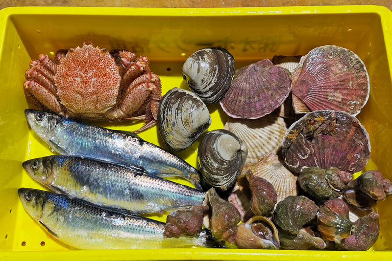 「送料無料」オホーツクの春爛漫セット／冷蔵