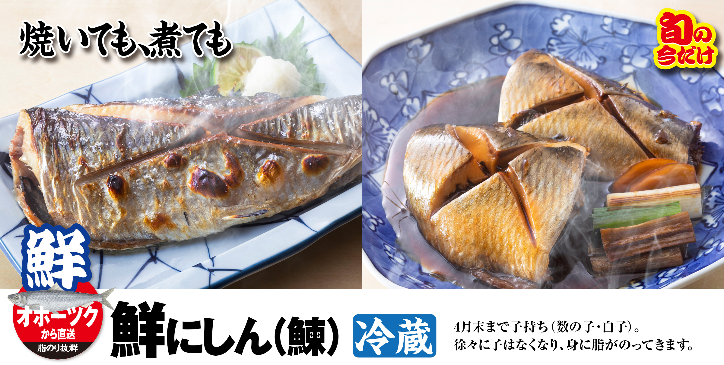 北海道オホーツク産 鮮にしん7kg／冷蔵｜オホーツク活魚 | オホーツク