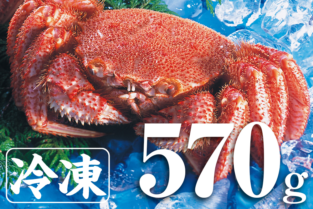 獲れたて毛蟹若5キロ、浜茹で、送料込み 今だけお得な毛蟹2～4尾セット】浜茹で毛カニ【3～4特ランク堅蟹