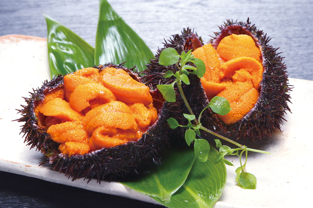 うに一夜漬け（塩）｜80g｜北海道枝幸産｜北隆丸 | オホーツク活魚ネット