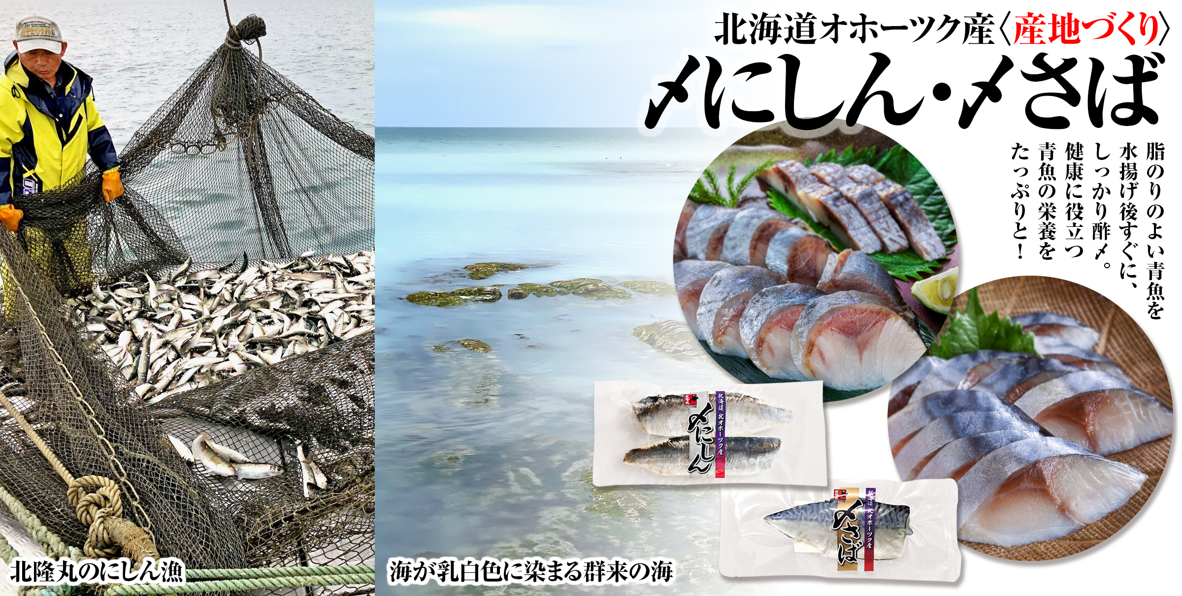 にしん 北隆丸｜〆にしん｜半身（2枚入り）｜北海道オホーツク産 | オホーツク