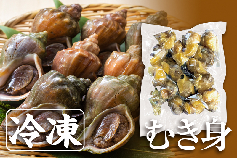 活〉青つぶ貝・ボイル冷凍｜オホーツク産 | オホーツク活魚ネット