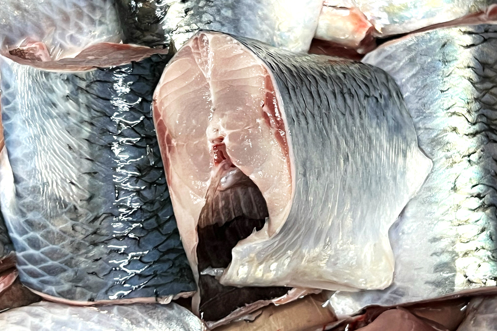 北隆丸｜〆にしん｜半身（2枚入り）｜北海道オホーツク産 | オホーツク