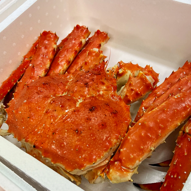 希少｜数量限定｜北海道枝幸産｜流氷明け｜浜茹でたらばがに｜3.0kg