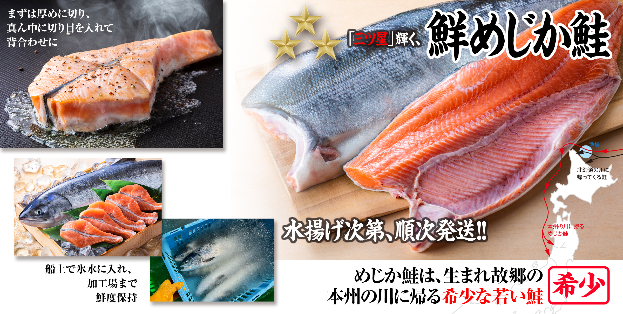 新物「北隆丸」鮮めじか鮭（三ツ星／メス姿1本・筋子入り）3.7kg
