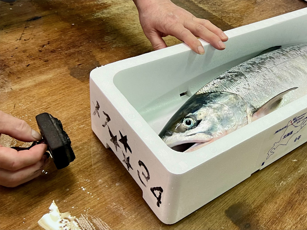 新物「北隆丸」鮮めじか鮭（三ツ星／メス姿1本・筋子入り）3.7kg