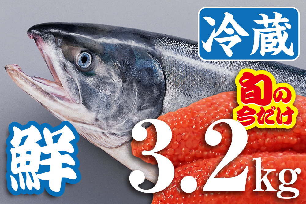 MEL認証】新物「北隆丸」鮮銀毛鮭（メス姿1本・筋子入り）3.2kg／冷蔵