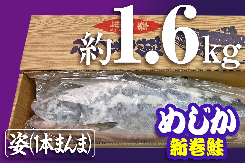 めじか新巻鮭（姿）｜約1.6kg×1｜オホーツク産｜オホーツク活魚