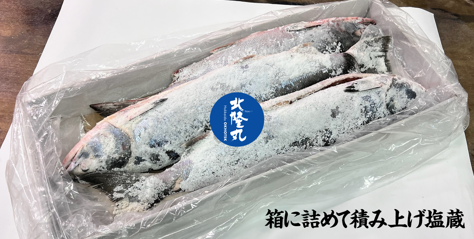 めじか新巻鮭（姿）｜約3.5kg×1｜オホーツク産｜オホーツク活魚