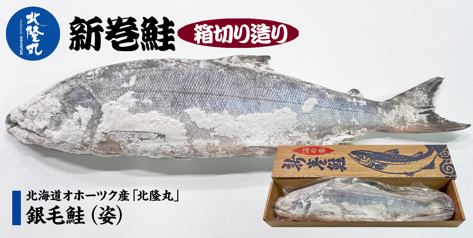 北海道オホーツク産「北隆丸」銀毛鮭（姿）約2.5kg／冷凍