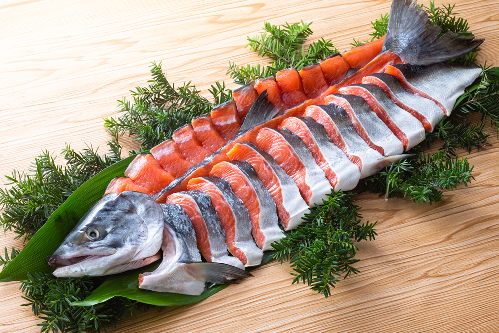 めじか新巻鮭（姿）｜約5.0kg×1｜オホーツク産｜オホーツク活魚