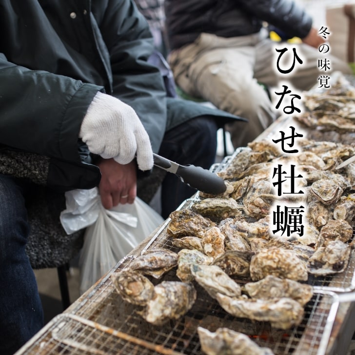 冬の味覚。ひなせ牡蠣