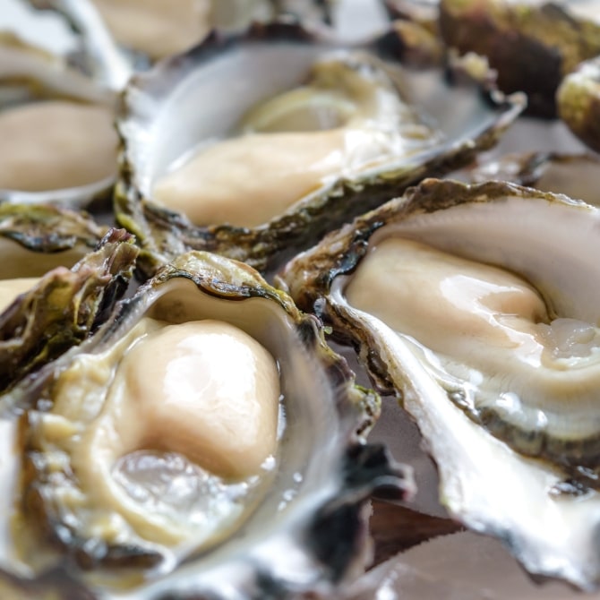 濃厚な旨みの牡蠣