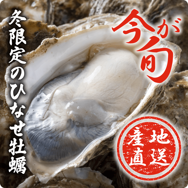 今が旬。冬限定のひなせ牡蠣を産地直送