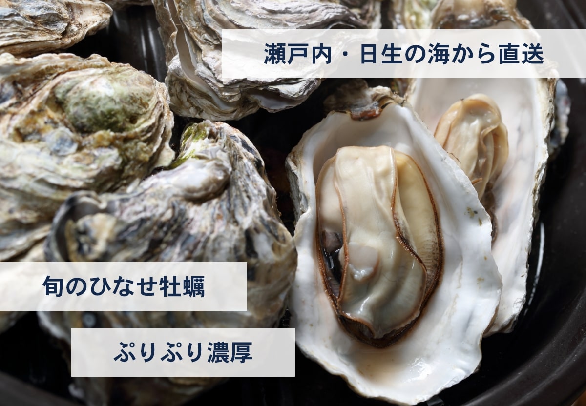 瀬戸内・日生の海から直送。旬のひなせ牡蠣。ぷりぷり濃厚