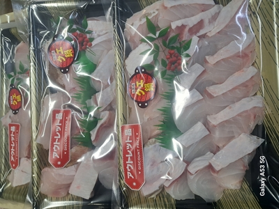 お買い得！アウトレット天然クエ鍋　