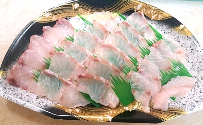 クエ刺身１５０ｇ２～３人前（冷凍でお届け）