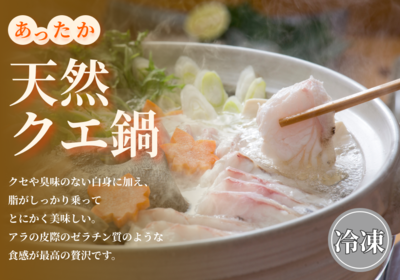 last〒2017・2018限定版ご当地フォルムカード和歌山【クエ（クエ料理）】 クエ （和歌山県）