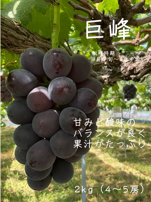 巨峰2kg