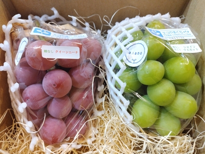 赤系ぶどうとシャインマスカットセット1kg