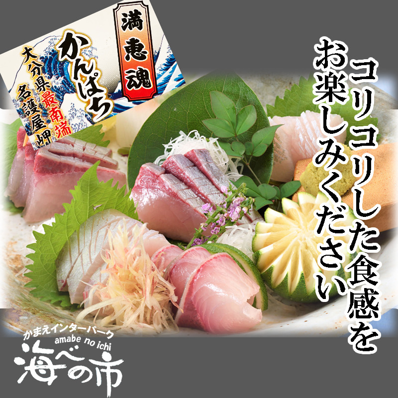カンパチ様専用 海の幸お届け便り#108】ブリ御三家の中で カンパチ様専用 海の幸お届け便り#108】ブリ御三家の中で