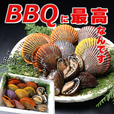 貝絵用 研磨済み ひおうぎ貝の貝殻キャンバス100枚1セット