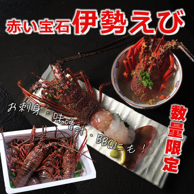 宝石のエビ 甲殻類 | 海べの市