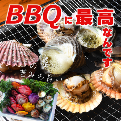 貝類 | 海べの市