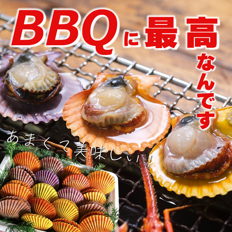 001カラフルひおうぎ貝18セット | 海べの市