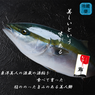 030美人鰤鰤丸ごと１本！