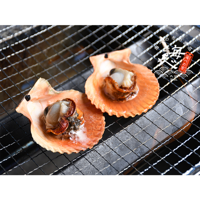001カラフルひおうぎ貝セット | 海べの市