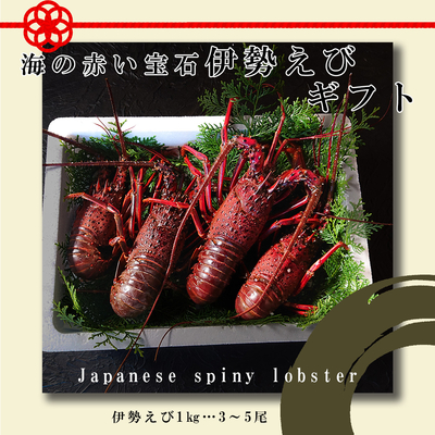 014　海の赤い宝石伊勢えびギフト