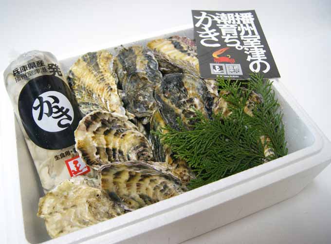 生食用】殻付かき2kg+剥き身500g ｜ 津田正水産 ｜ 公式オンライン