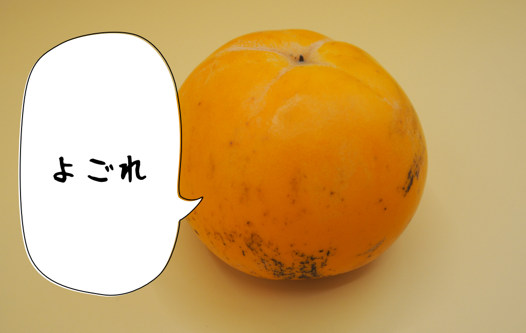 会津みしらず柿-訳あり箱 | 会津のめぐみ SHOP