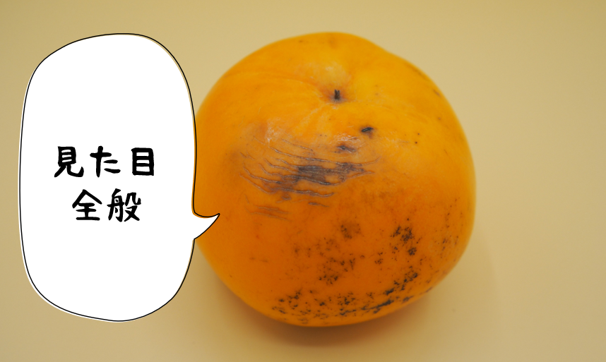 会津みしらず柿-訳あり箱 | 会津のめぐみ SHOP