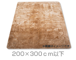 ムートンカーペットクリーニング（200×300cｍ以下）