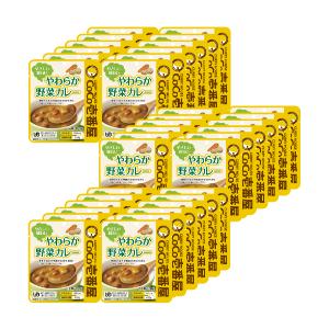 やわらか野菜カレー100g（ケアフード）（３６個入）【おまとめ】