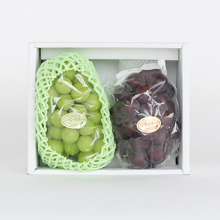 マスカット500mlセット　2セット 2026年発送＞シャインマスカット2房1kg以上 JA中野市から直送【1272457