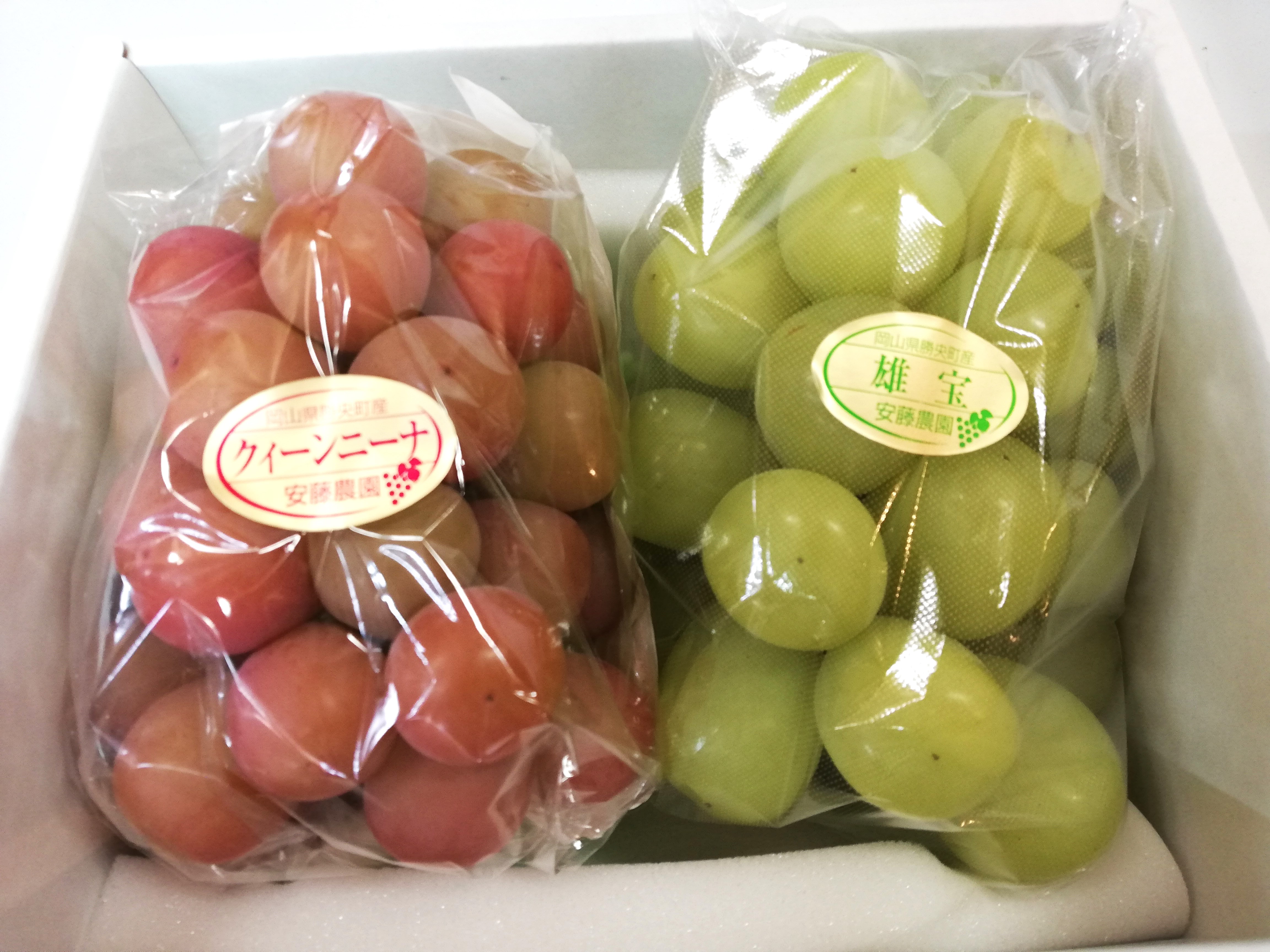 希少品種セット】雄宝＆クインニーナセット | 安藤農園