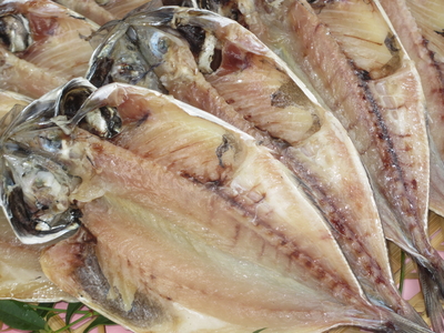 2026 3月21日 所さんの笑ってコラえて！で紹介された極上大とろあじ（真あじ）5枚入