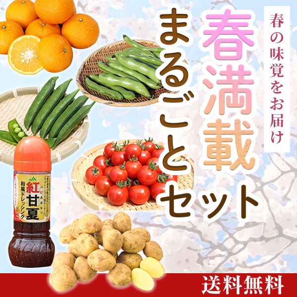 春満載まるごとセット[V-010] | JA鹿児島いずみショップ