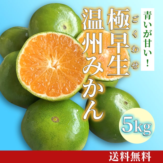 MJJ　和みかん10kg 5kg 極早生温州みかん 5kg [F-019] | JA鹿児島いずみショップ
