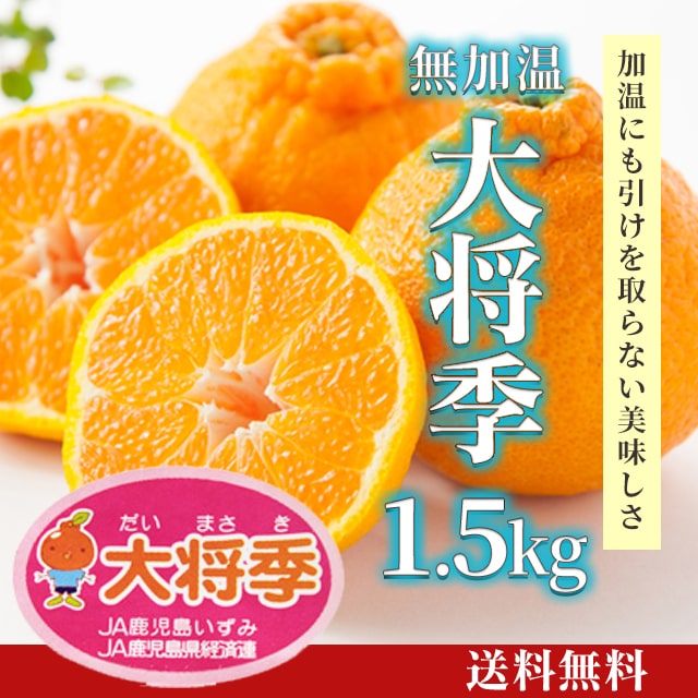 大将季（無加温・露地）1.5kg [F-006] | JA鹿児島いずみショップ