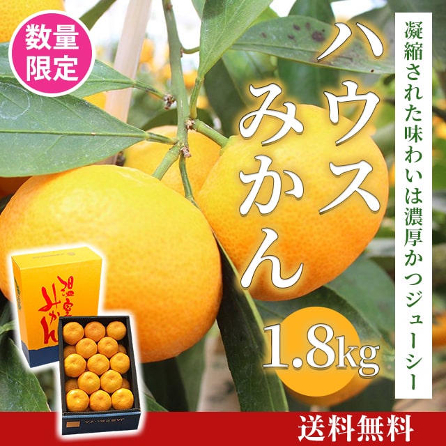 数量限定】ハウスみかん1.8kg冷蔵[F-017] | JA鹿児島いずみショップ